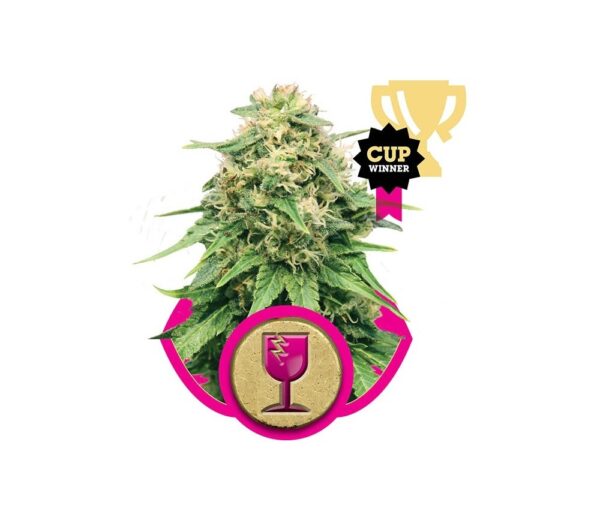A cannabis plant depicted with a trophy graphic labeled "CUP WINNER" and an emblem featuring a stylized broken wine glass.