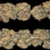 Close-up image of eight cannabis buds with visibly detailed trichomes and orange pistils.
