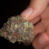 Close-up of a hand holding a colorful cannabis bud with detailed textures of purple, green, and orange hues.