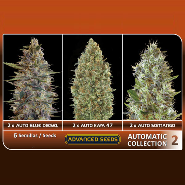 Three images of cannabis buds displayed side by side; from left to right: Auto Blue Diesel, Auto Kaya 47, and Auto Somango, labeled within an advertisement for "Advanced Seeds Automatic Collection 2."