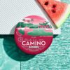 Promotional image for Camino Sours, featuring a watermelon slice next to a round pink sticker-like graphic illustrating palm trees and flamingos. The text promotes "Watermelon Spritz - Uplifting" flavor, highlighting the product as "cannabis-infused vegan gummies" from Kiva.