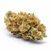 Close-up of a cannabis bud with visible trichomes and orange pistils.