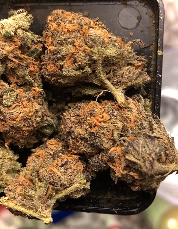 Close-up of dried cannabis buds with visible trichomes and orange pistils, displayed in a black container.