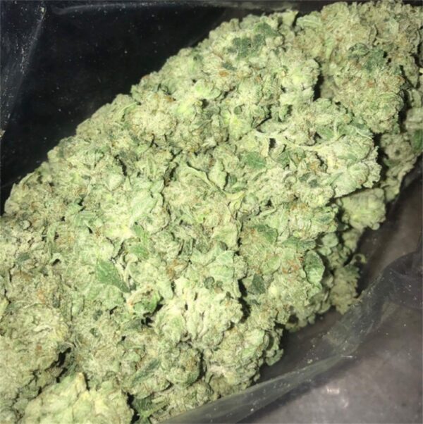 Close-up view of dried cannabis buds with visible trichomes and a mix of green hues.