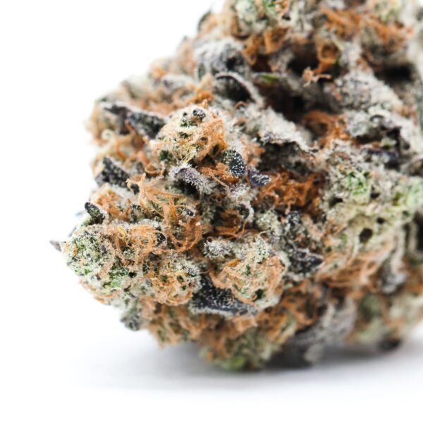 Close-up of a detailed cannabis bud showing intricate textures and colors, with visible trichomes and orange pistils.