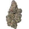 Von Big Head Seeds Cookie Dawg.Close-up of a dense cannabis bud with a frosty appearance due to trichomes, featuring rich purple and green hues.