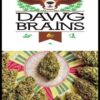 Seeds of the Dawg Brains variety, Regular type, from Delta 9 Labs.