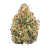 Close-up of a dense cannabis bud covered in trichomes and orange pistils.