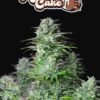 A detailed image of a cannabis plant, named "Auto Kosher Cake," showcasing large, dense buds covered in trichomes.