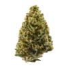 Von Advanced Female Seeds Northern High Lights.Close-up of a cannabis bud with crystalline trichomes and fine orange hairs.
