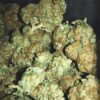 Close-up of multiple dense cannabis buds with a frosty covering of trichomes.