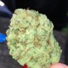 A close-up of a person holding a dense cannabis bud with visible trichomes and a mix of green and orange hues.