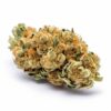 Close-up of a detailed cannabis bud displaying fine trichomes and orange pistils.