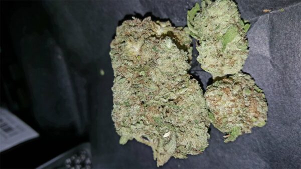 Dried cannabis buds with a detailed texture and trichomes visible.