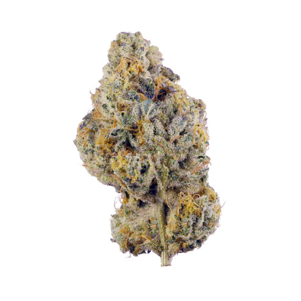 Von Barneys Farm Seeds Wedding Cake.Close-up photo of a cannabis bud covered in trichomes and orange pistils.